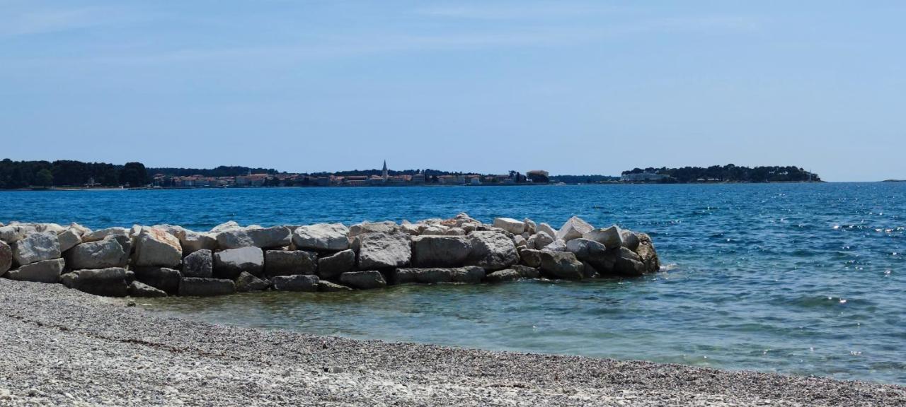 Villa Allegra Vižinada المظهر الخارجي الصورة