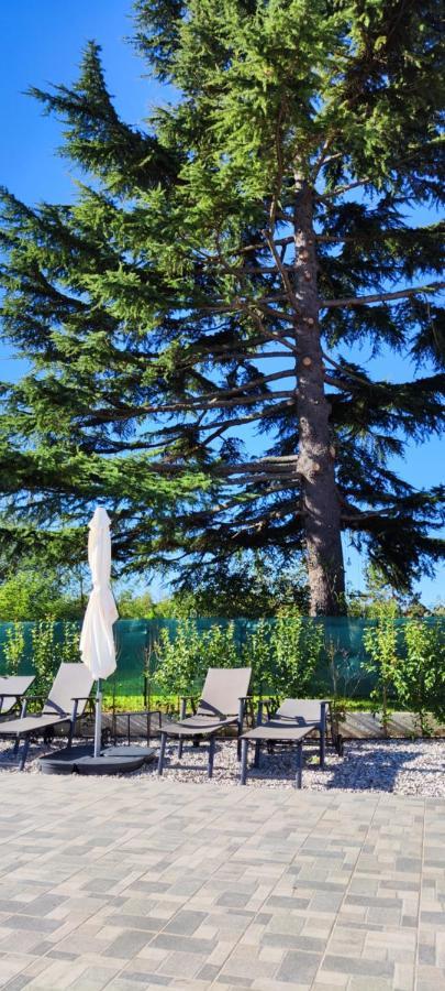 Villa Allegra Vižinada المظهر الخارجي الصورة